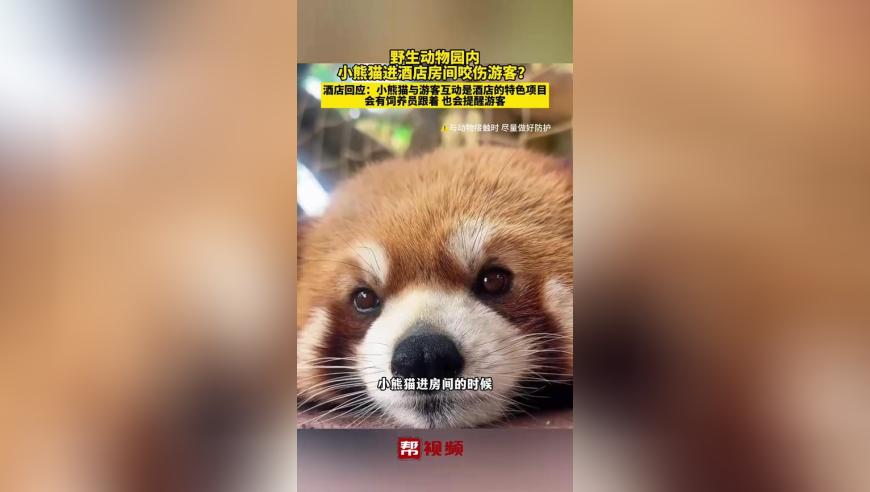 澳门彩历史开奖号码记录,正月十二双喜临门吉祥日,作答解释落实的民间信仰_终极版V4.67