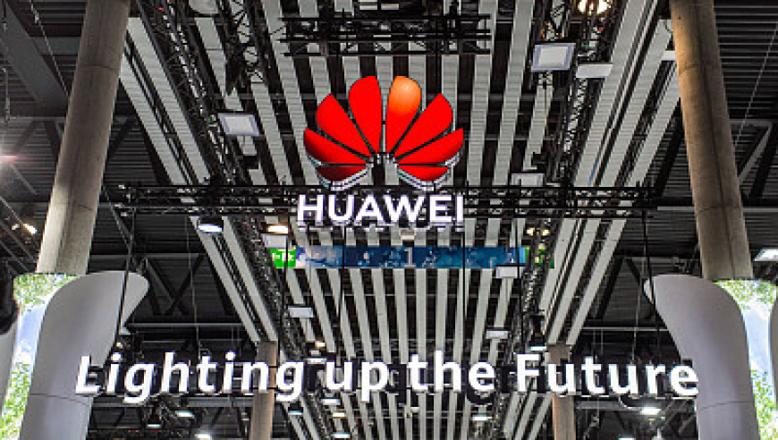金巧巧迟到被惠英红要求道歉,2025新澳彩管家婆免费资料查询,决策资料解释落实_钱包版V14.34