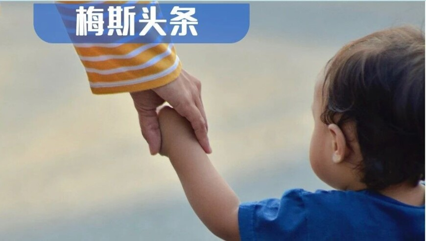 建议年轻女性不要放弃学习和工作,2025年澳门老鼠报香港王中王,确保成语解释落实的问题_标清版V11.44